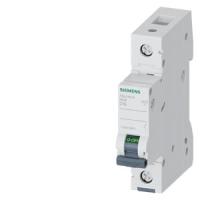 Автоматический выключатель Siemens 5SL4110-8