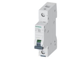 Автоматический выключатель Siemens 5SL6106-6