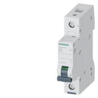 Автоматический выключатель Siemens 5SL4125-8