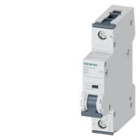Автоматический выключатель Siemens 5SY5120-6
